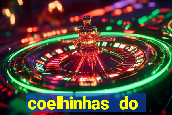 coelhinhas do brasil recife